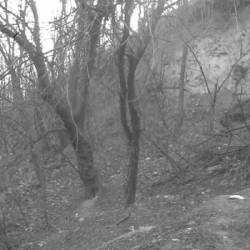 ...By Shining of Eternity...